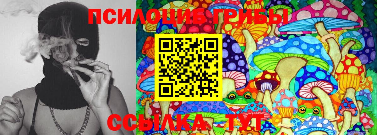 Псилоцибиновые грибы мицелий Ачхой-Мартан