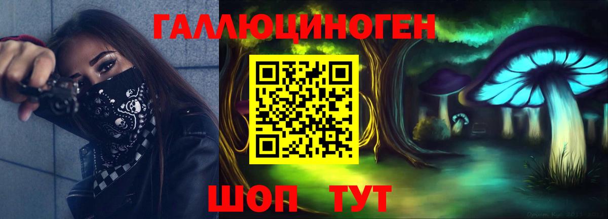закладка  Псилоцибиновые грибы GOLDEN TEACHER  Вход с VPN  Псилоцибиновые грибы Psilocybine cubensis  Ачхой-Мартан 