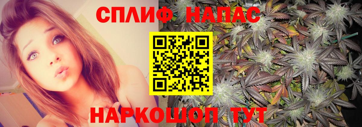 Бошки марихуана THC 21% Ачхой-Мартан